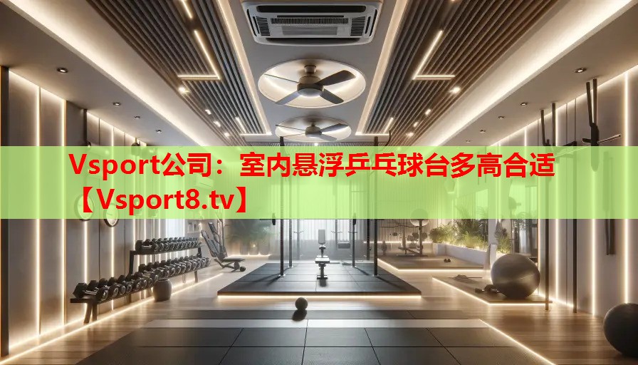 Vsport公司：室內(nèi)懸浮乒乓球臺多高合適