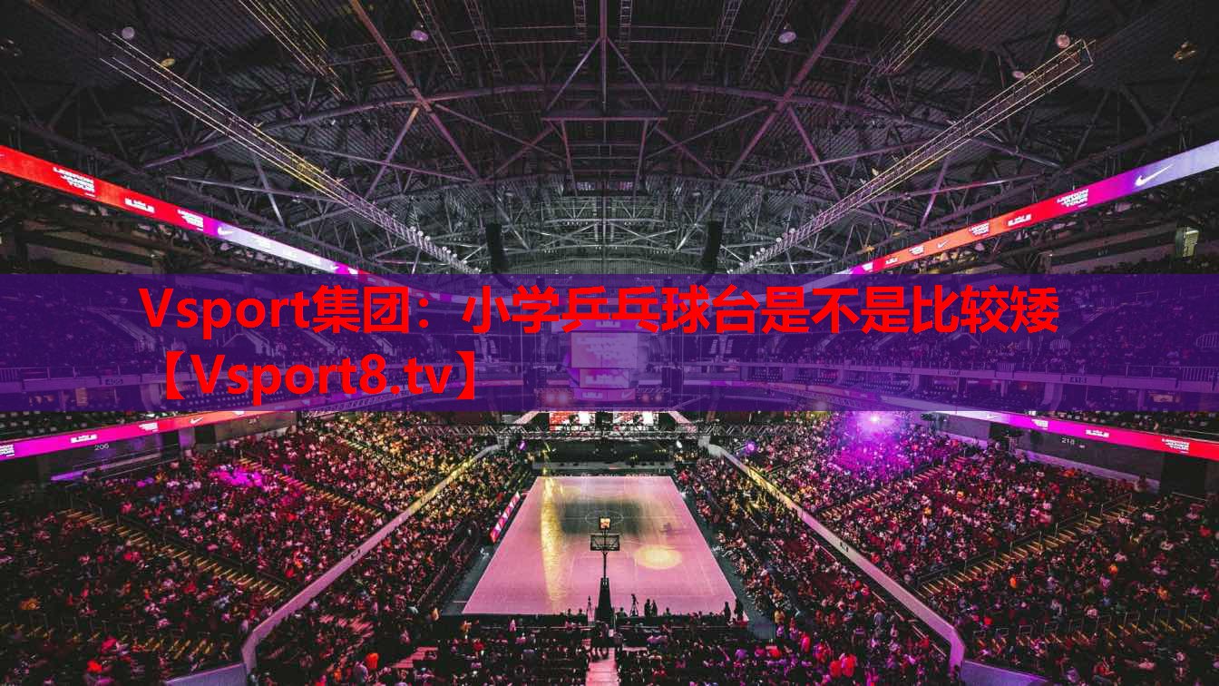 Vsport集團：小學乒乓球臺是不是比較矮