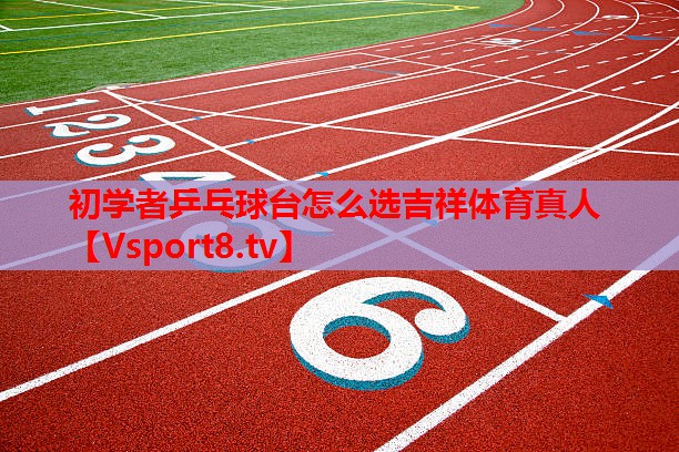 初學(xué)者乒乓球臺(tái)怎么選吉祥體育真人