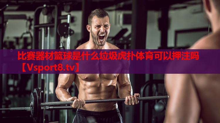 比賽器材籃球是什么垃圾虎撲體育可以押注嗎