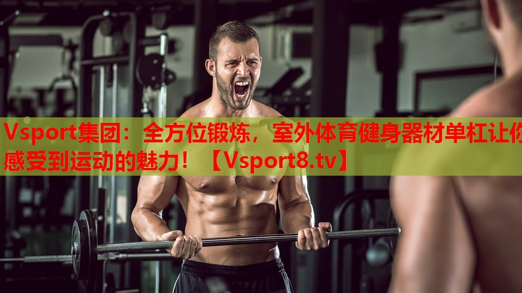 Vsport集團(tuán)：全方位鍛煉，室外體育健身器材單杠讓你感受到運(yùn)動的魅力！