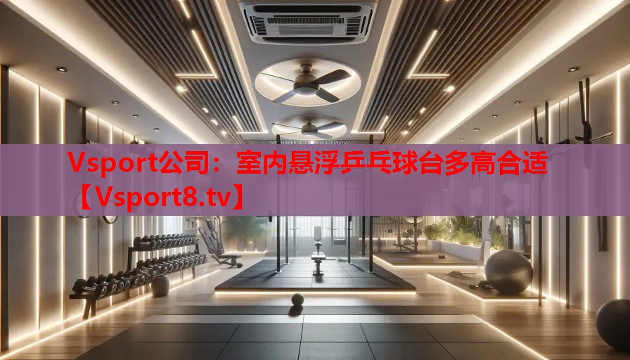 室內(nèi)懸浮乒乓球臺(tái)多高合適